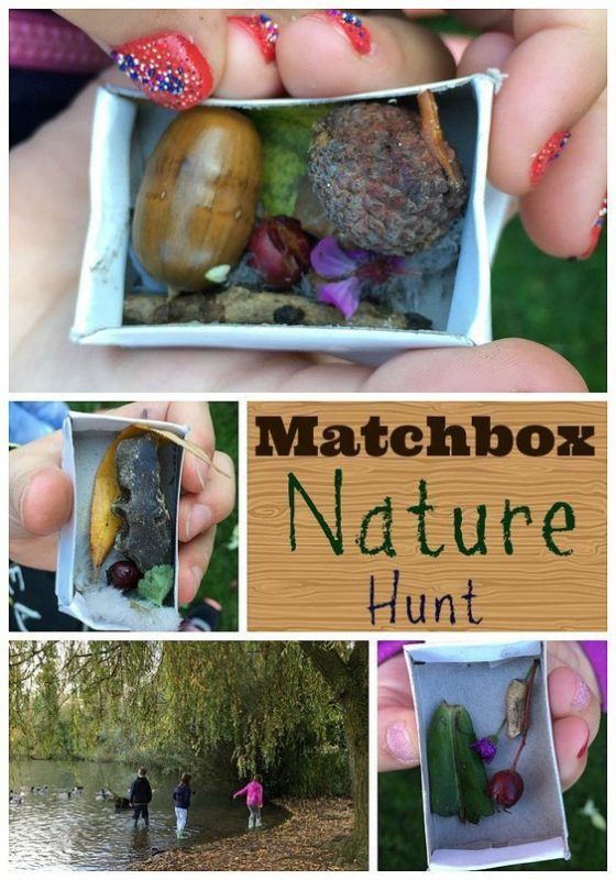 Matchbox Nature Hunt