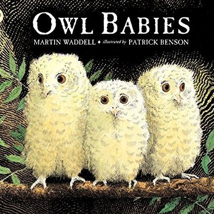 Owl Babies