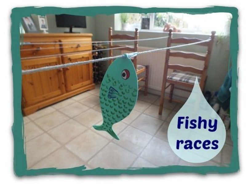 Fishy races game