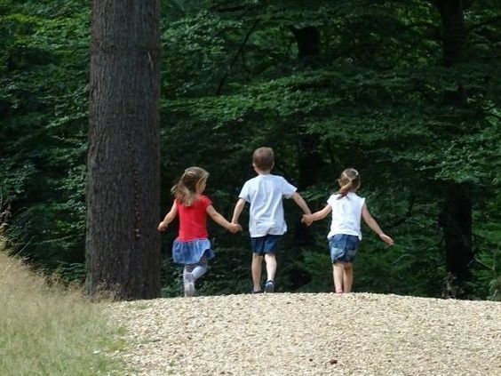 Siblings walking together