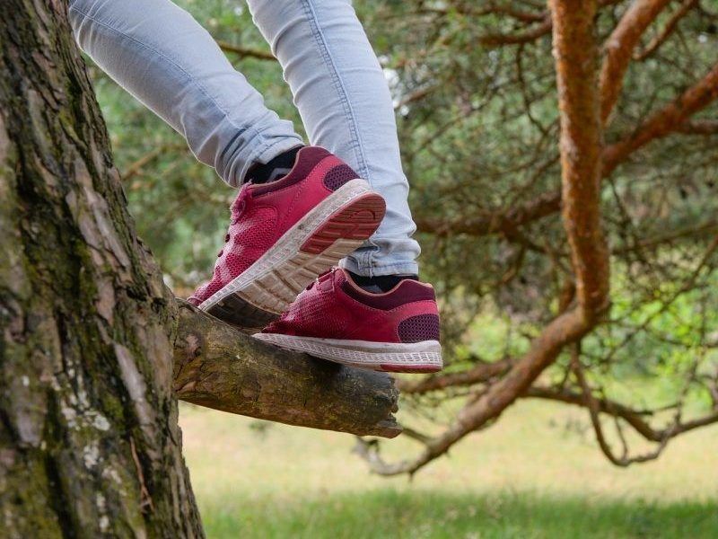 Tree climbing