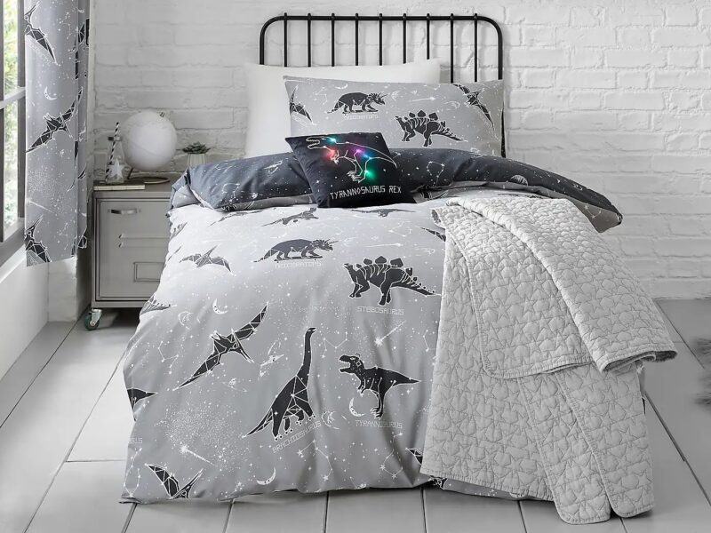 Dinosare themed duvet cover and pillowcase