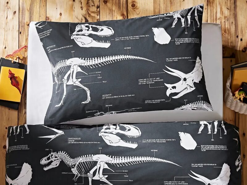 Monochrome dinosaur beding set