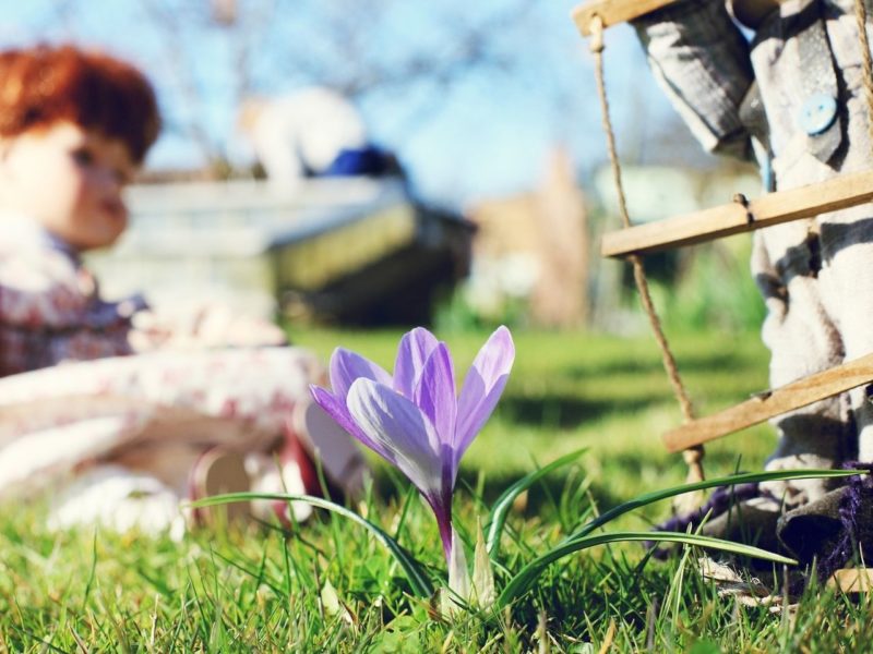 Garden scene