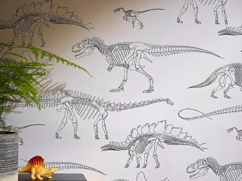 Monochrome detailed dinosaur skeletons