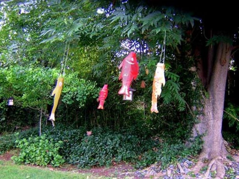 Fish windsocks hanging from a tree