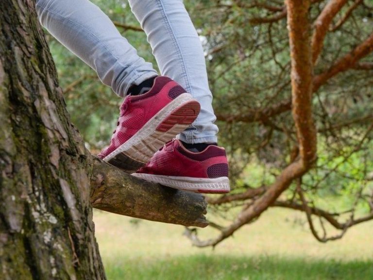 Child climbing a tree