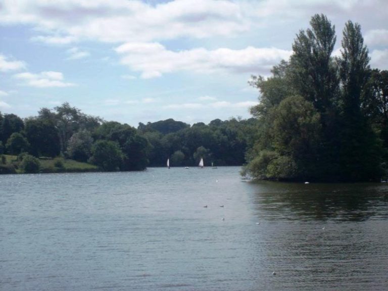 The lake at Coate country park