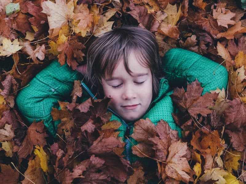 Boy playing in leaves