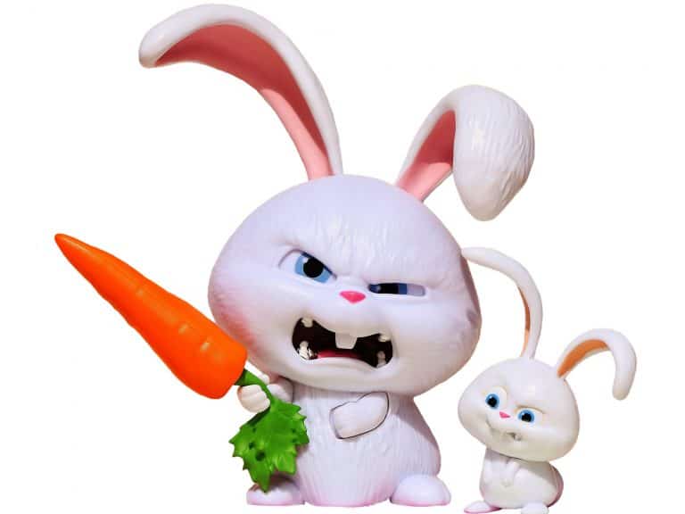 Angry rabbit