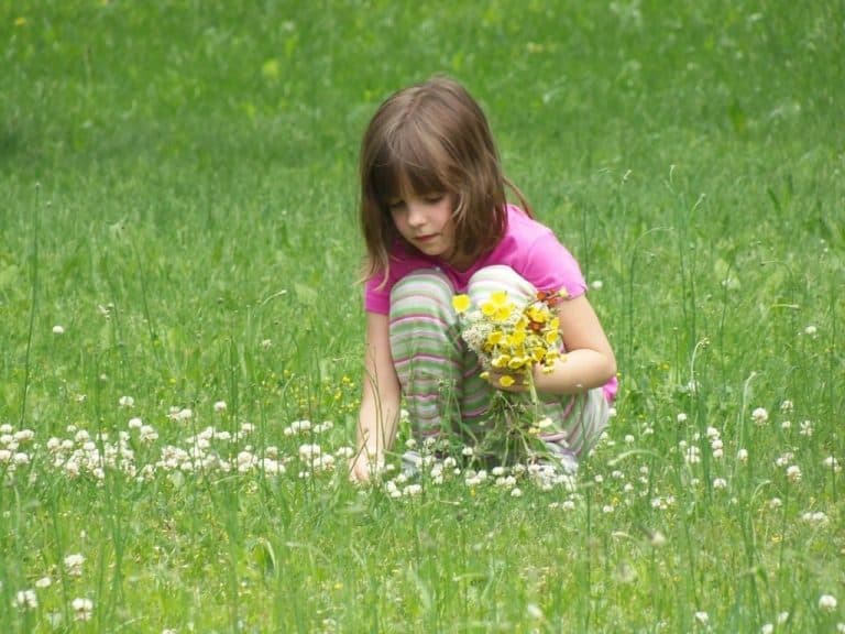 Girl picking flowers in a field