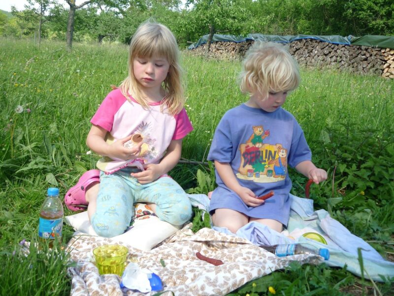 children's picnic