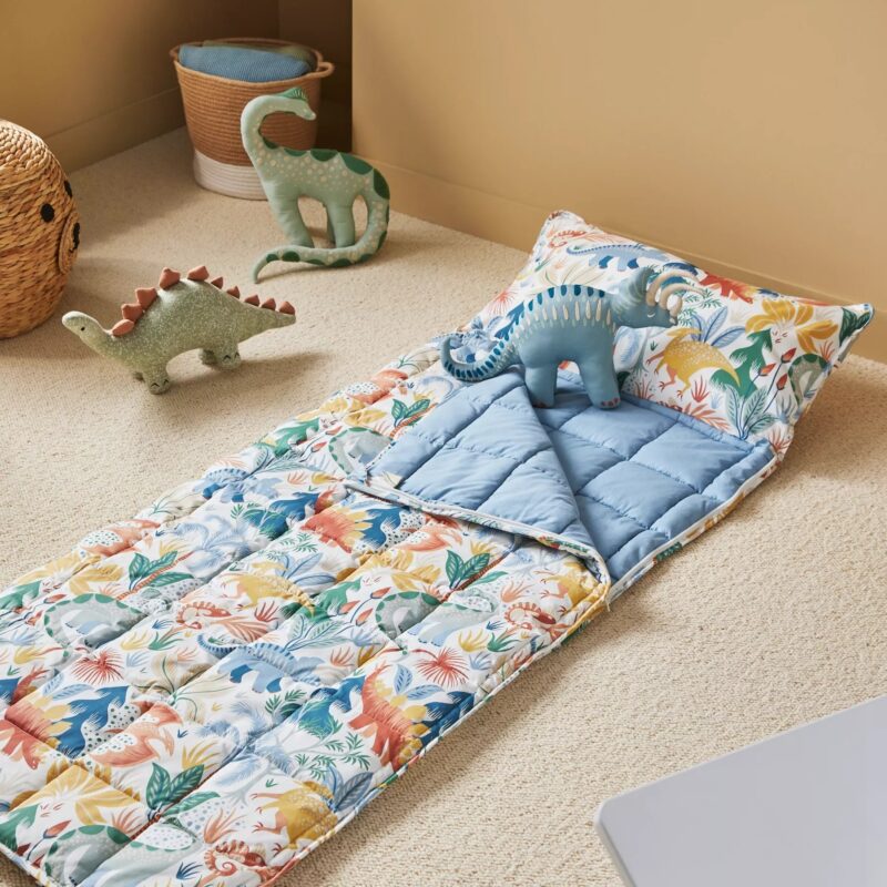 Dinosaur print kid's sleeping bag